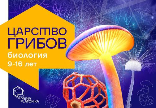 platonika.ru