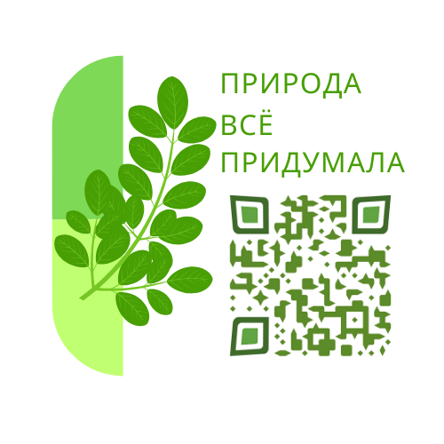 Аннотации и описания к препаратам брэнда Moringa Royal Herbs