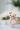 Micro Bunny Pattern