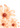 image flowers