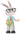 Заяц Фаня