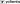 Yclients
