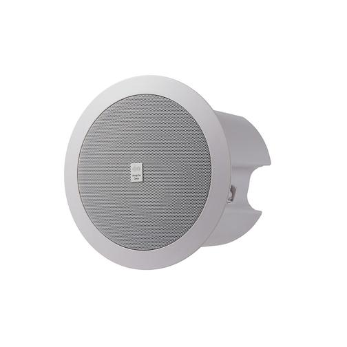 Потолочный IP громкоговоритель RPW-20